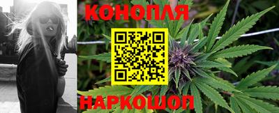 Альфа ПВП Гагарин
