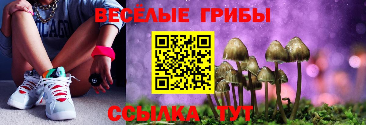 Златоуст  Псилоцибиновые грибы мицелий  Вход с VPN  Псилоцибиновые грибы Psilocybine cubensis 